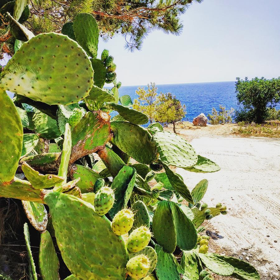 Euphoria - South Crete Villas Achlia Eksteriør bilde